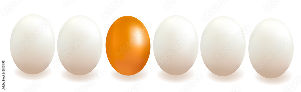 Different object. Concept with eggs. Vector. Different object. Concept with eggs. Vector.
