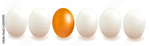 Different object. Concept with eggs. Vector.