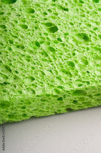 sponge detail