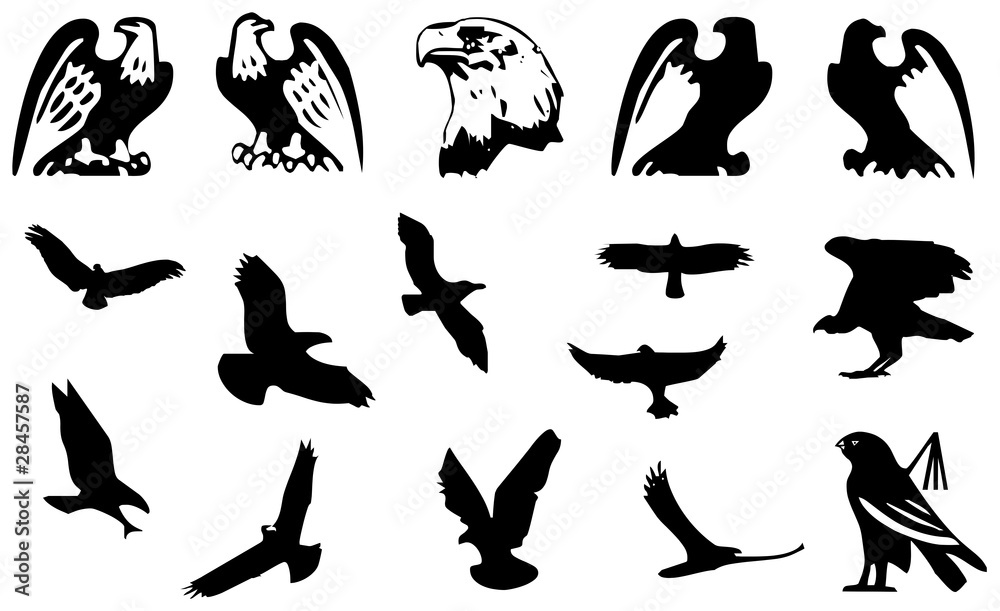 Sammlung Adler Sammlung Adler