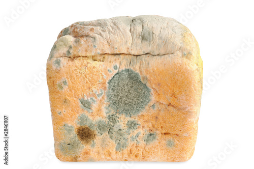 Moldy bread. Isolated