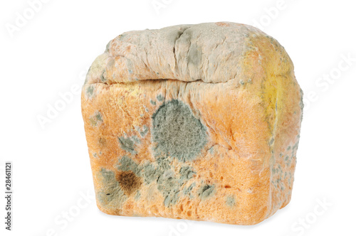 Moldy bread. Isolated