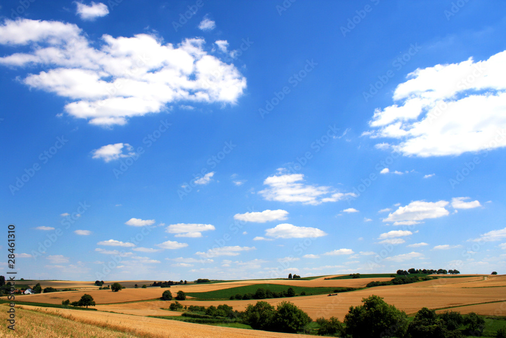 Sommerlandschaft