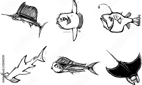 Fish Group