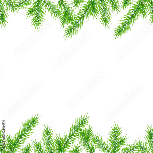 Fir branches on white background. Seamless horizontal pattern