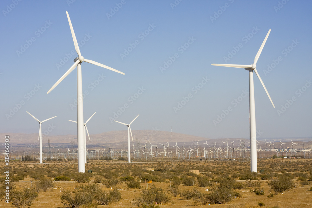 Wind turbines generating electricity in Palm Springs area Wind turbines generating electricity in Palm Springs area