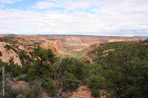 Navajo National Monument - Kayenta