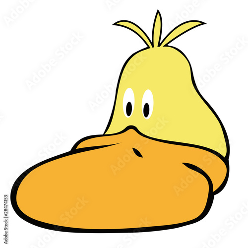 Yellow Duck Face.