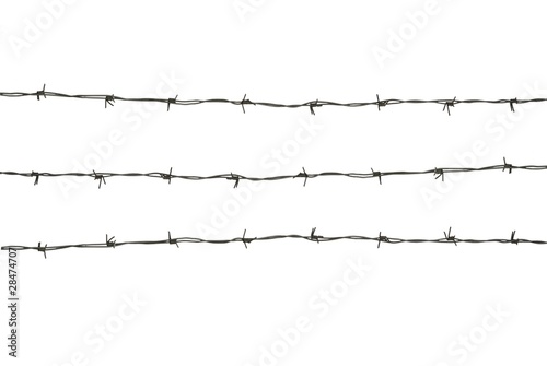 prickly wire