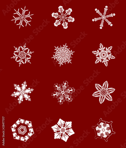 Vector snowflake set