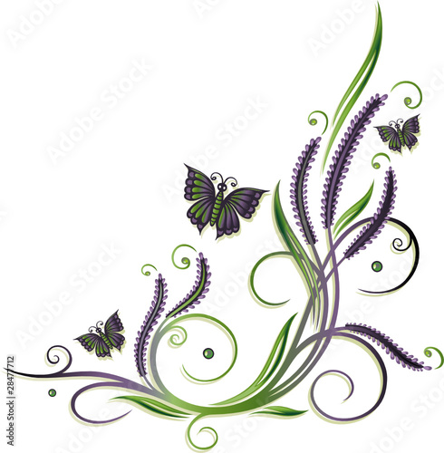Lavendel, Ranke, flora, filigran, Blumen, Schmetterlinge