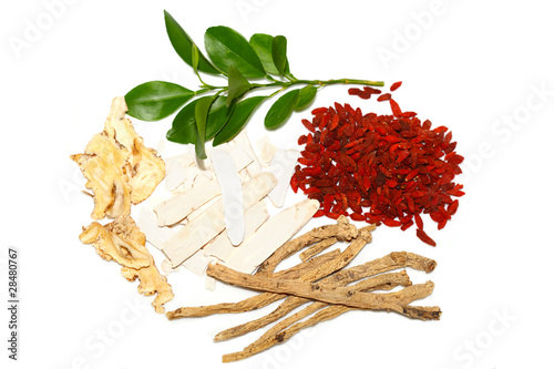 Obraz na plátně Herbal Mix