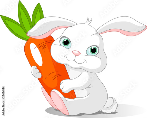 Rabbit holds giant carrot