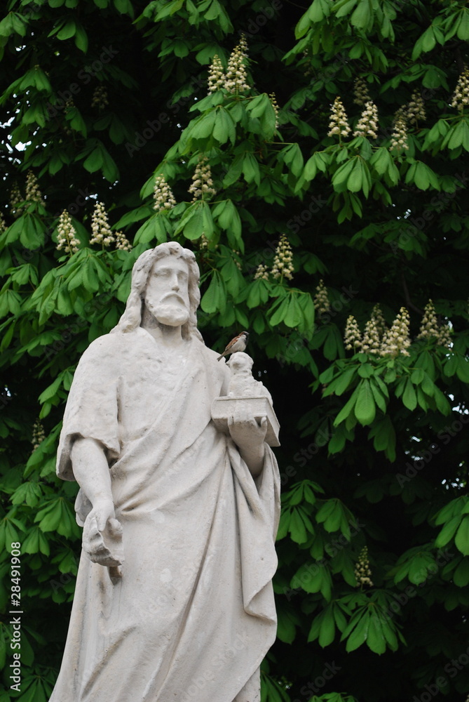 Fototapeta premium Wroclav - St. Josef