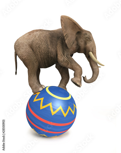 elephant balance on ball