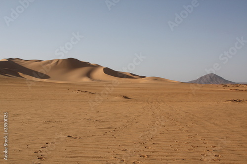 Traces dans les dunes de Tittersine