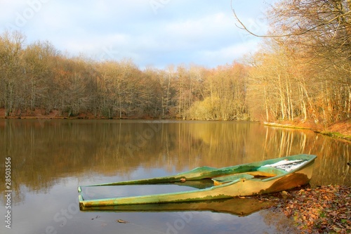 Barque sur un étang l'hiver en Bourgogne
