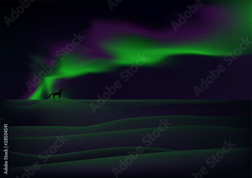 Visible aurora over snow-bound tundra