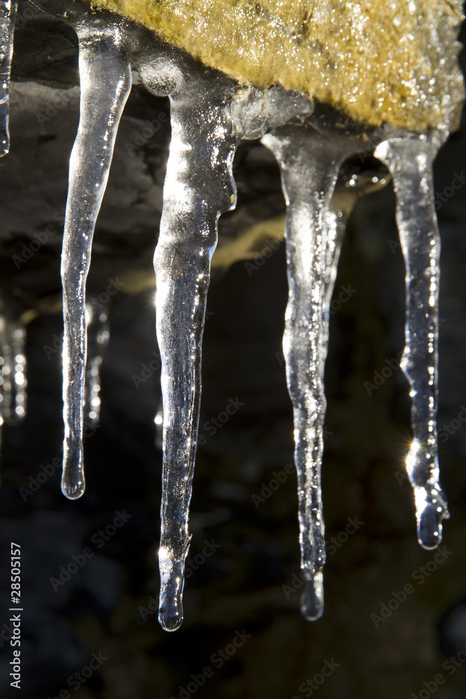 Close up of icicles hanging from a cliff Close up of icicles hanging from a cliff