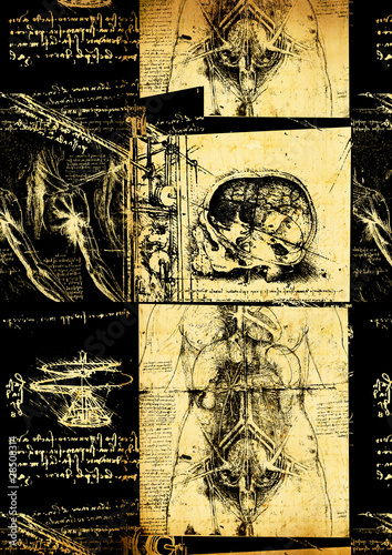 Leonardo's Da Vinci engineering & Anatomy  drawing