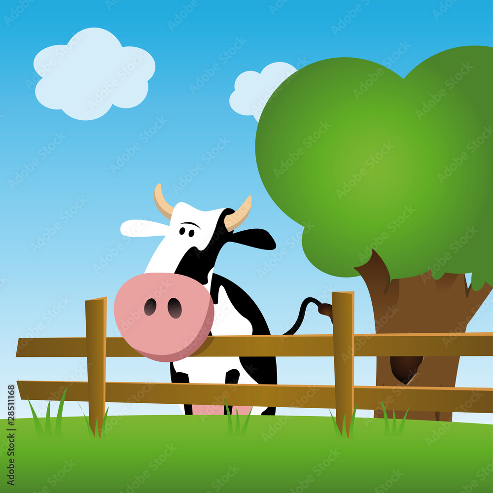 Vache dans un champ