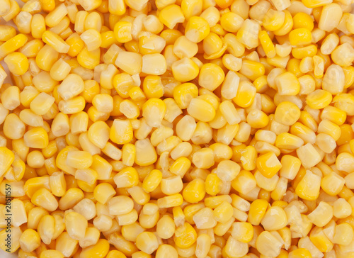 Background of corn