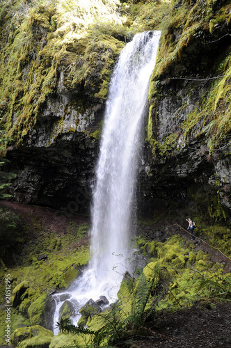 Angel Falls, Cispus, Washington state © dschreiber29