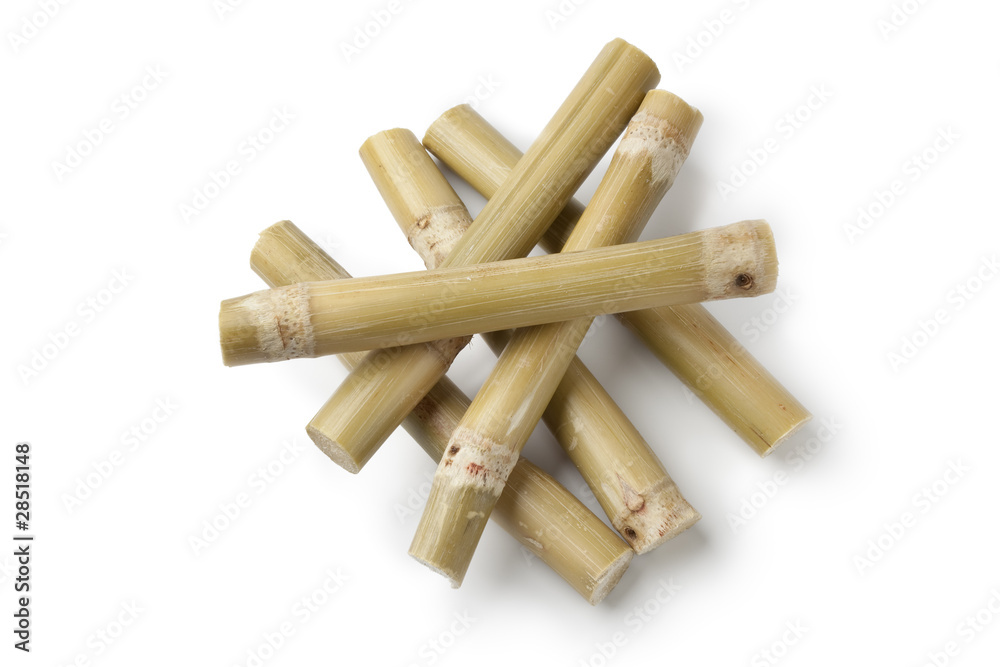 Fresh sugar cane sticks Fresh sugar cane sticks