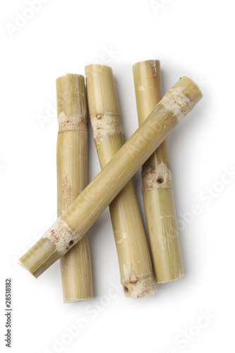 Fresh sugar cane sticks