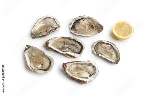 Fresh raw oysters in an open shell