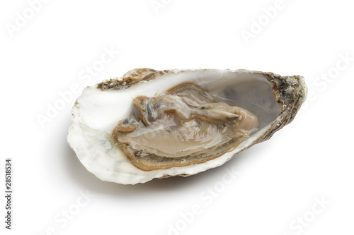 Fresh raw oyster in an open shell