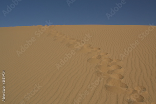 Traces dans les dunes de Tittersine