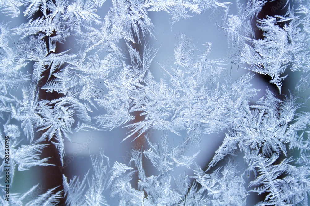 Naklejka premium Echte Eisblumen