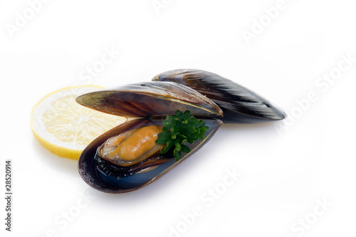 mussel-cozze