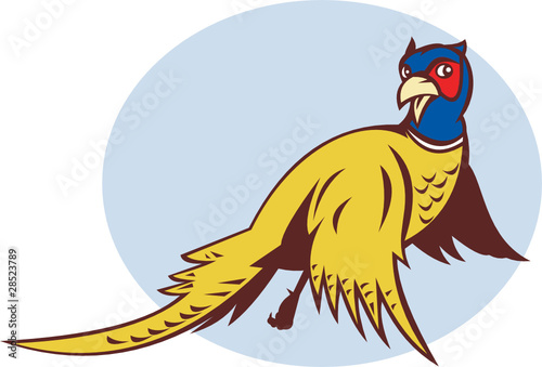 cartoon pheasant bird flying