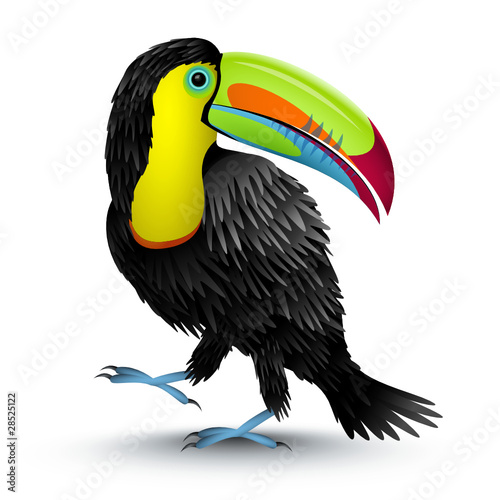 Vector illustration of a toucan