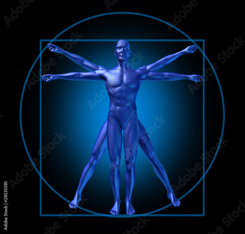 human diagram vitruvian classic man