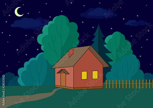 House on forest edge, night
