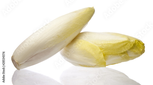 Brussels Chicory isolated over white