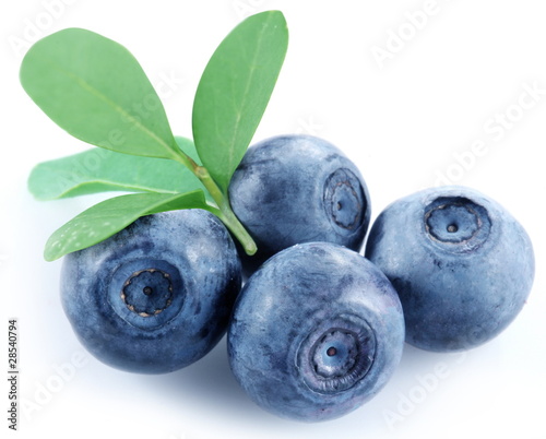 Four blueberries on a white background.
