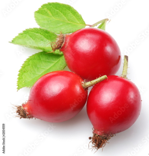 Three hip with leaves on a white background. photo
