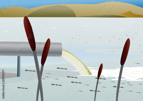 pollution of a lake