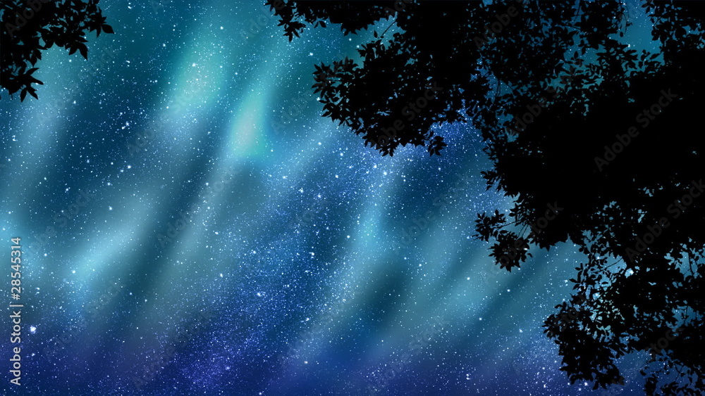 Aurora Borealis