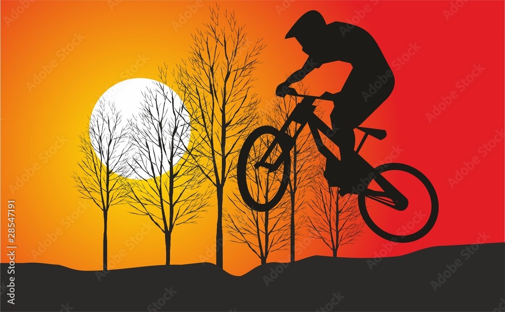 montana bici