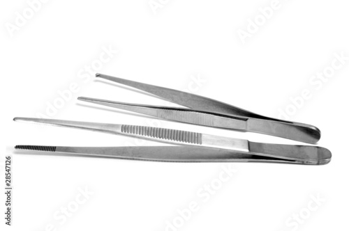 dissecting forceps