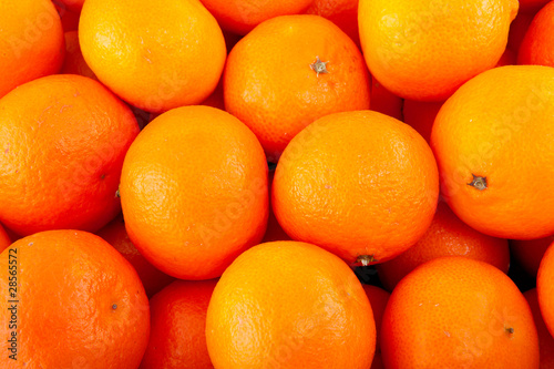 background of tangerines over white bachground