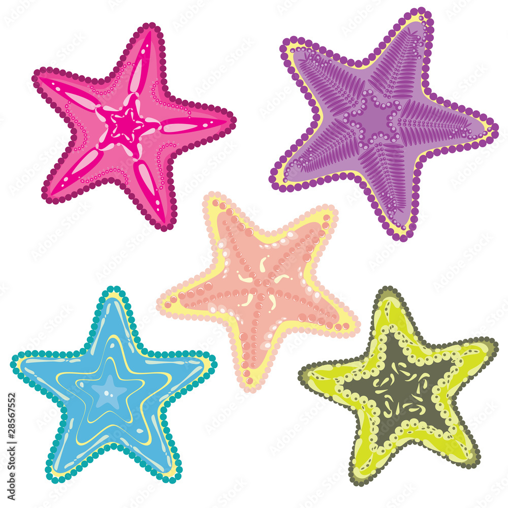 Set of colorful starfishes