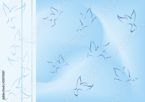 birds