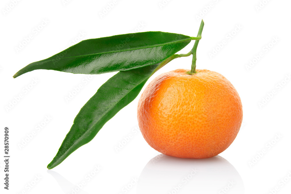 Tangerine with leaf isolated Tangerine with leaf isolated