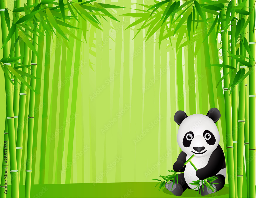 Fototapeta premium Panda and bamboo forest